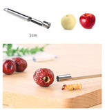 1Pcs Stainless Steel Twist Fruit Core Remover Pear Apple Corers Tool-Rosettas-Country-Kitchen